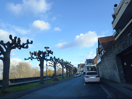 Koeln Rodenkirchen Makler